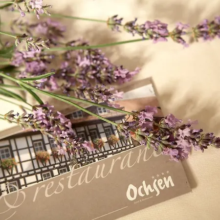 Ochsen 4* شتوتغارت