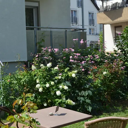 Ochsen Otel 4*