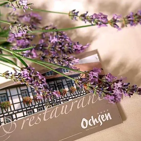 Ochsen Hotel Stuttgart