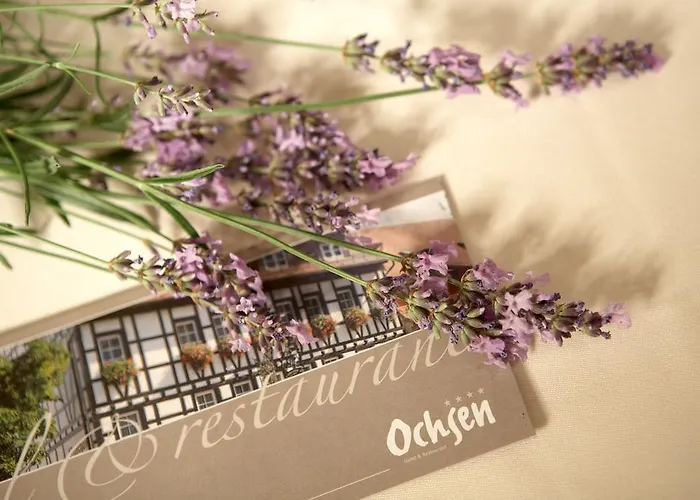 Ochsen 4* 슈투트가르트